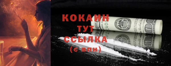 ПСИЛОЦИБИНОВЫЕ ГРИБЫ Белоозёрский