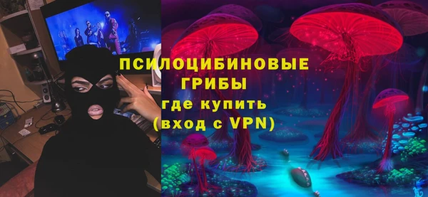 ПСИЛОЦИБИНОВЫЕ ГРИБЫ Белоозёрский